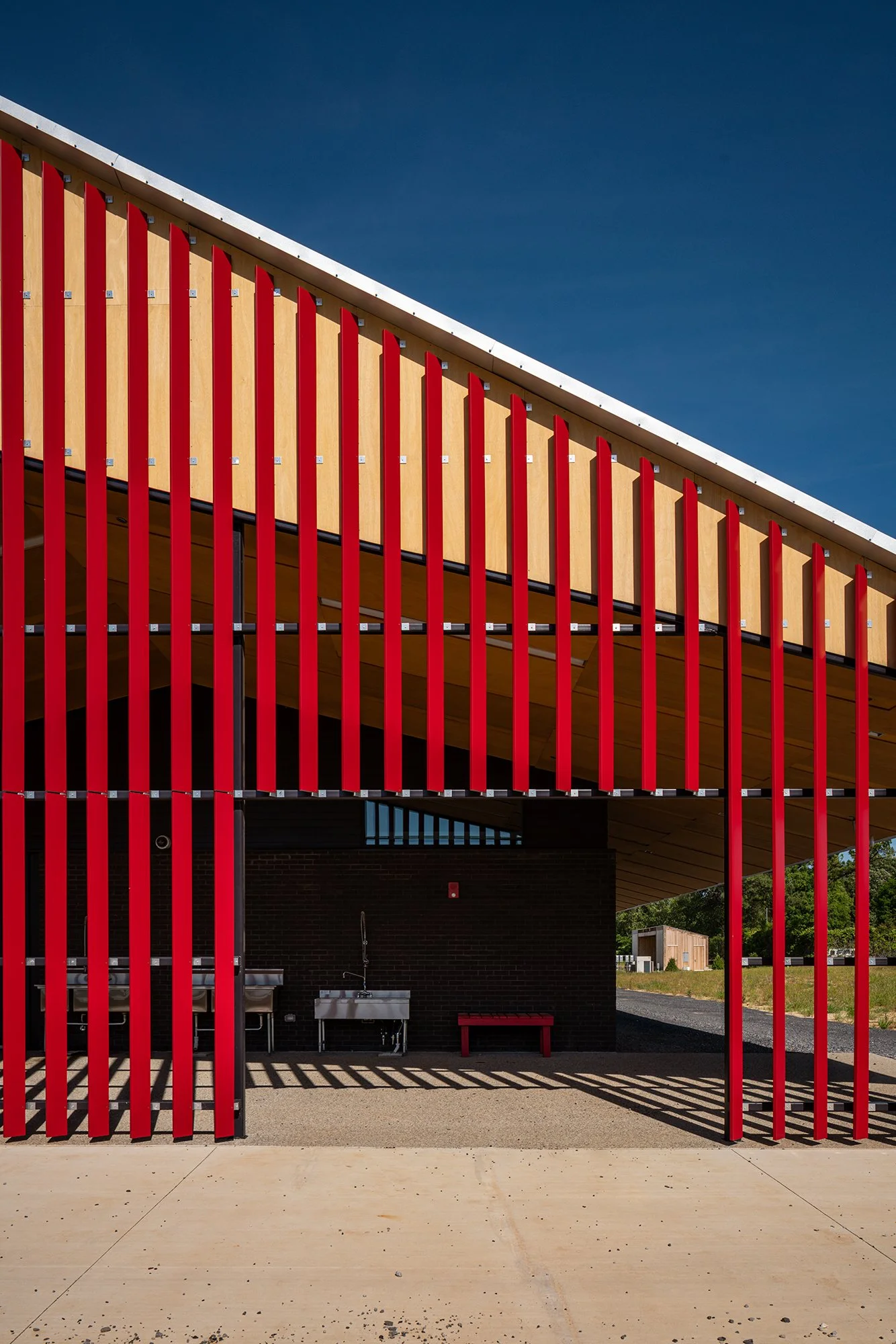 Girls _Frayser Farm-7.jpg