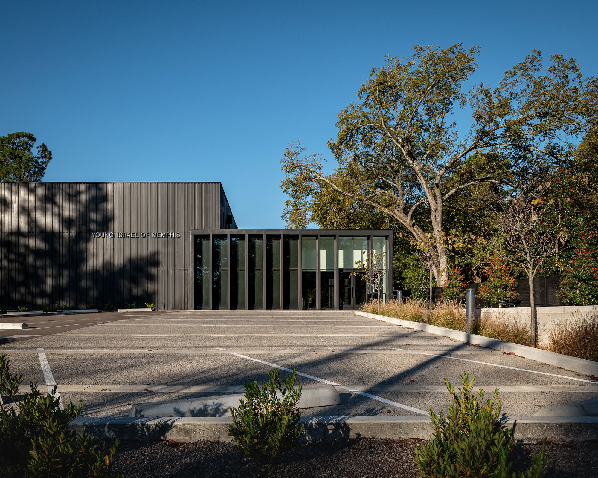 Young Israel (5).jpg