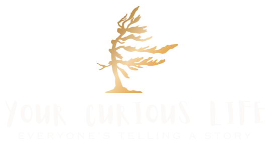 Your Curious Life