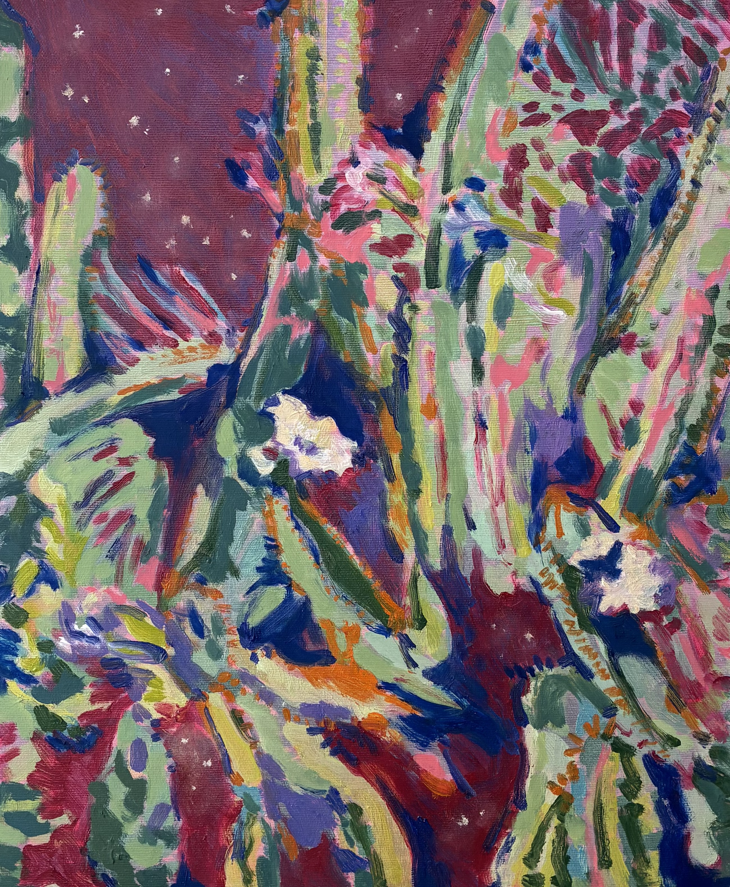 I kissed a cactus and it bloomed, Oil on canvas, 2026