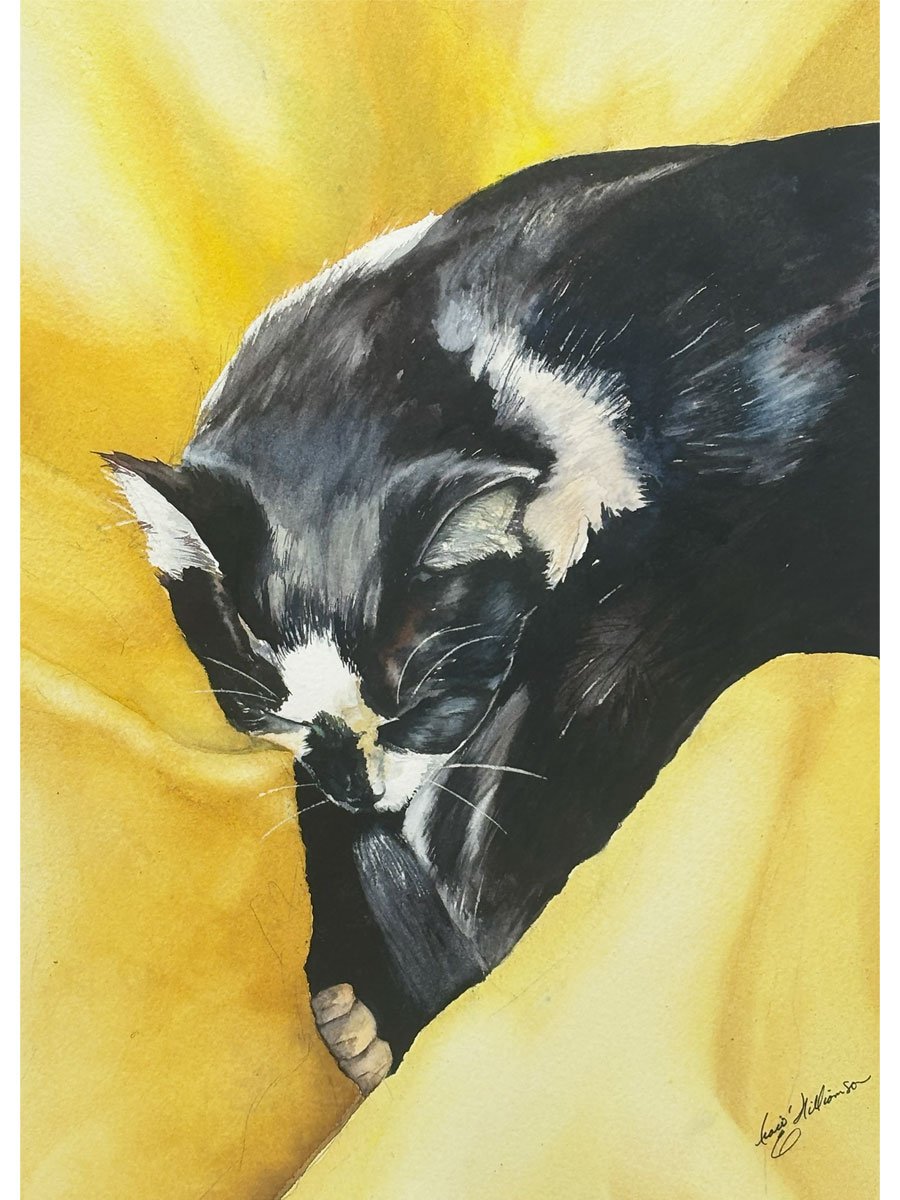 SLEEPY CAT