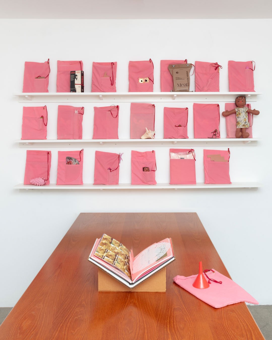 DavidShull_WTIGLTAAGM_Install-_booksweb.jpg