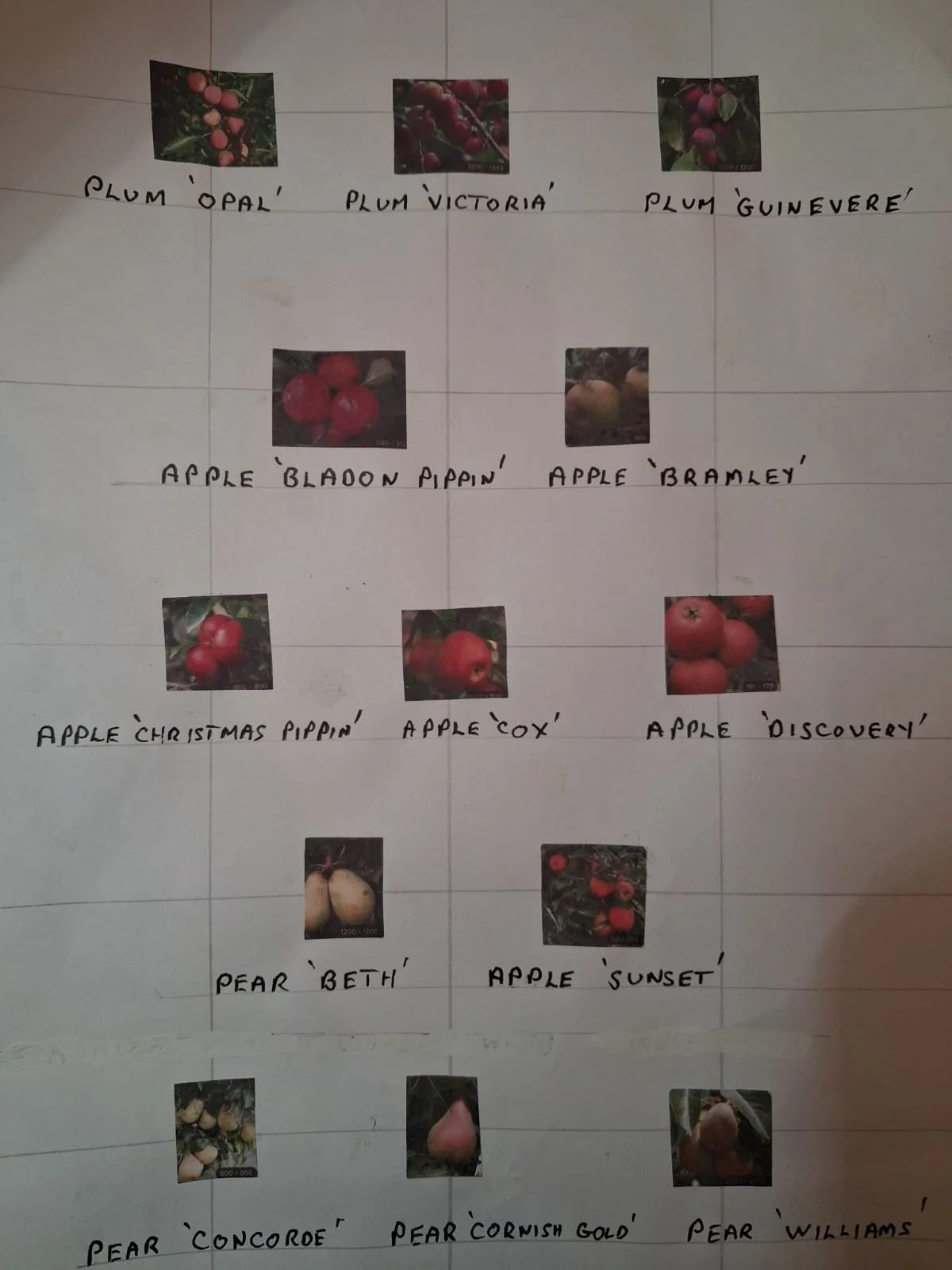 Planting the Orchard