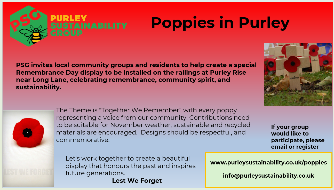 Poppies in Purley