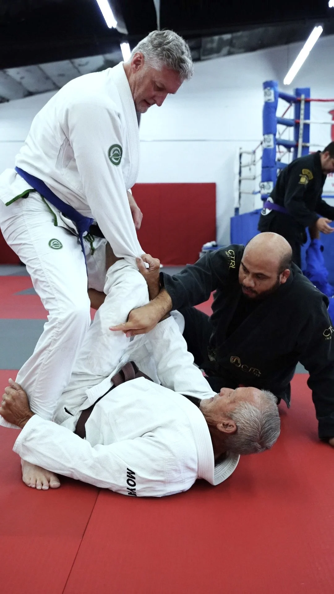 ADULT JIU-JITSU