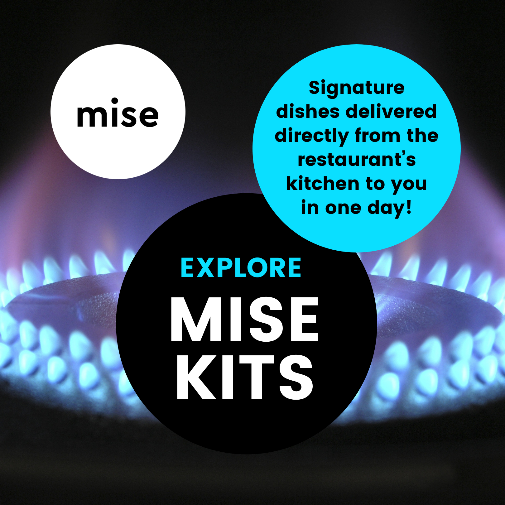 Untitled design (5).png