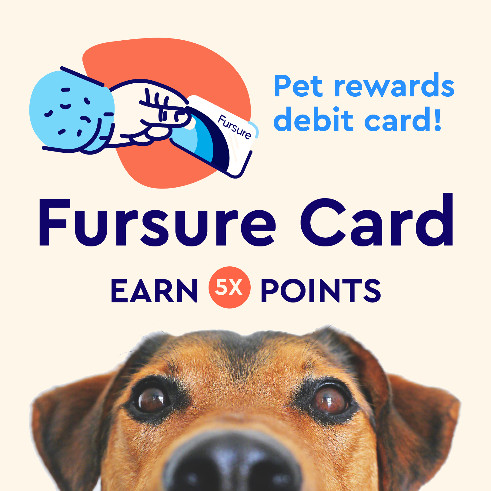 Fursure Card Square Ad 3.png