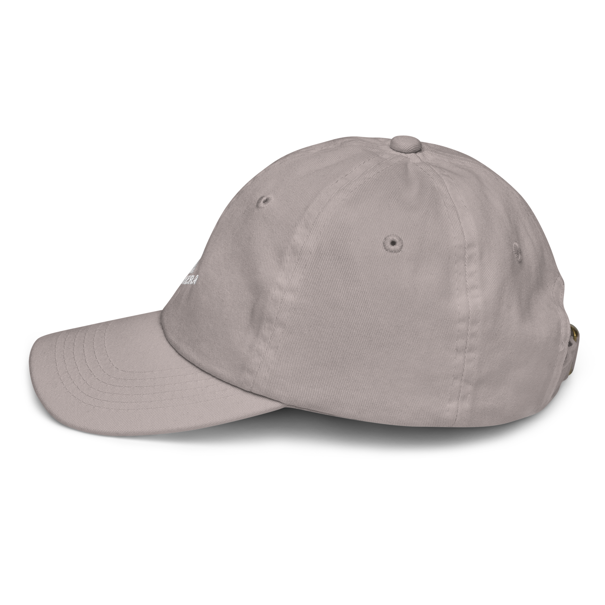 youth-baseball-cap-grey-left-side-694ddc810c100.png