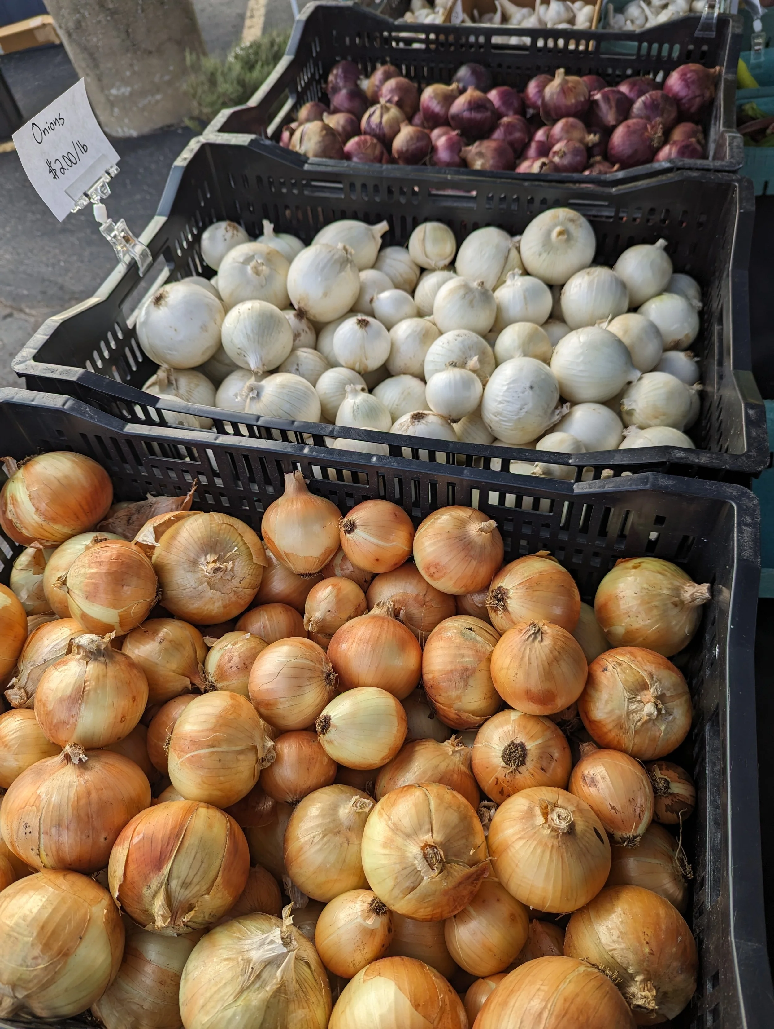 Onions