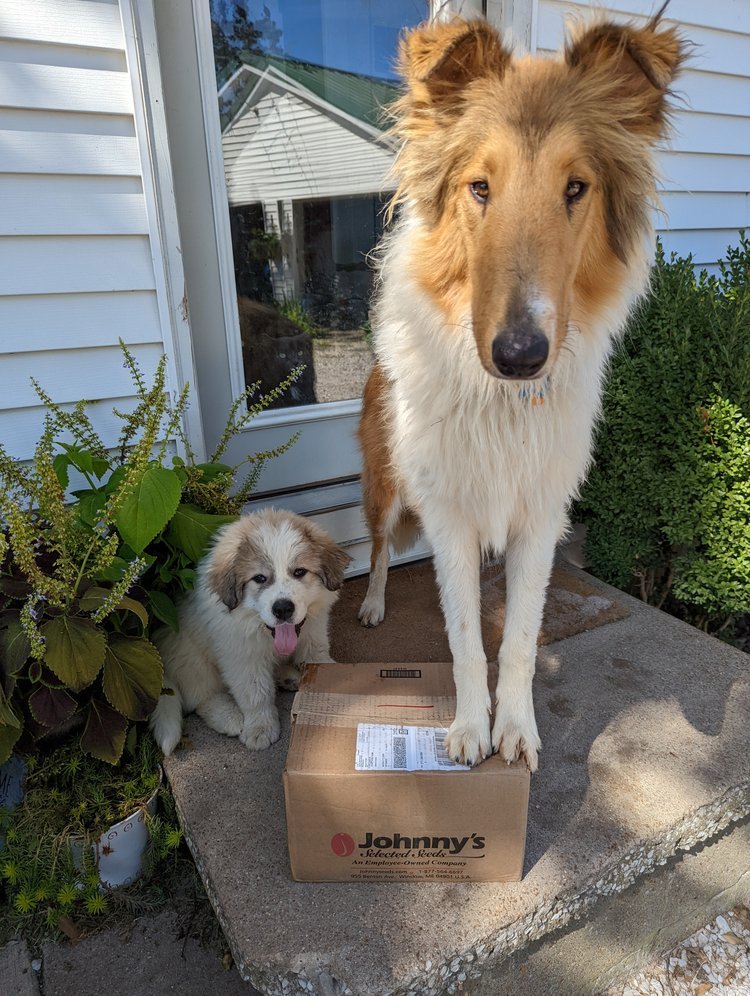 Beau+and+Rye+on+Stoop.jpg