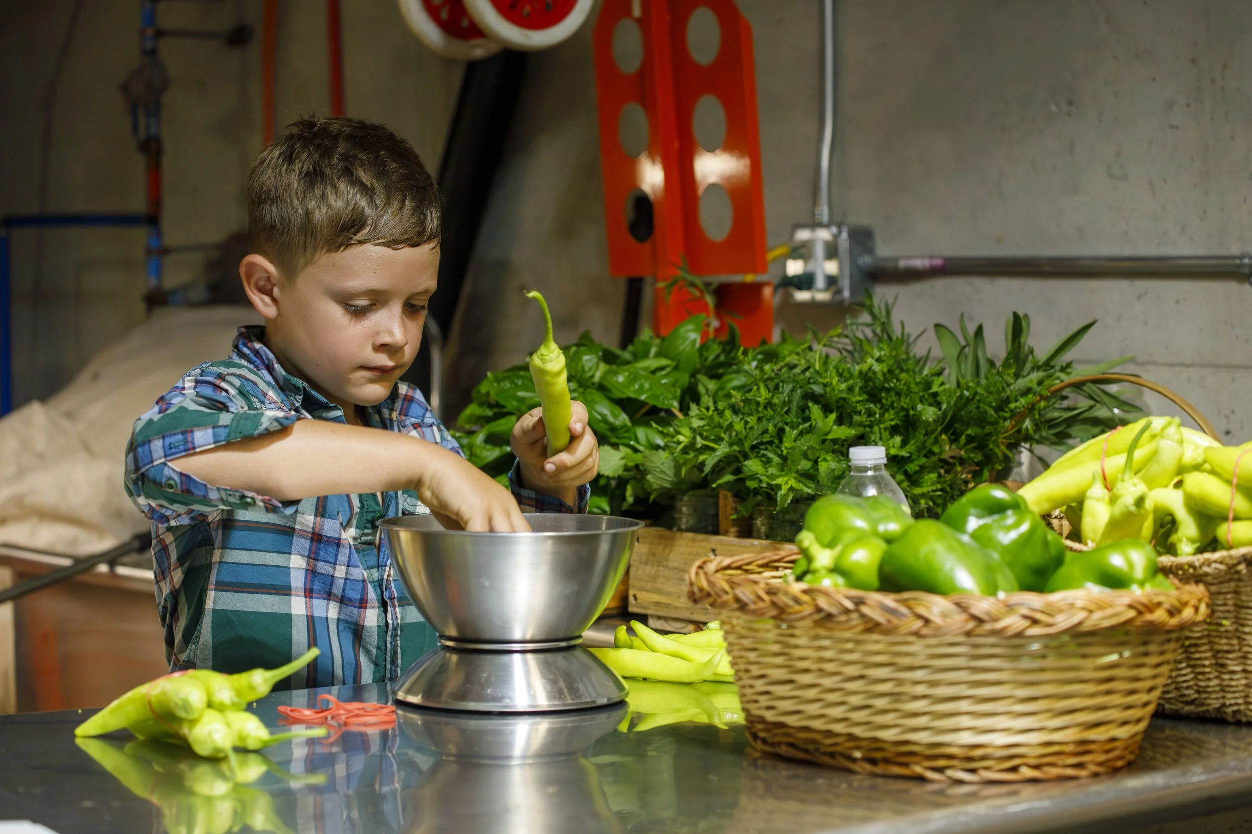 20230804SmallFarmerGrantSolewayFarms--18.JPG