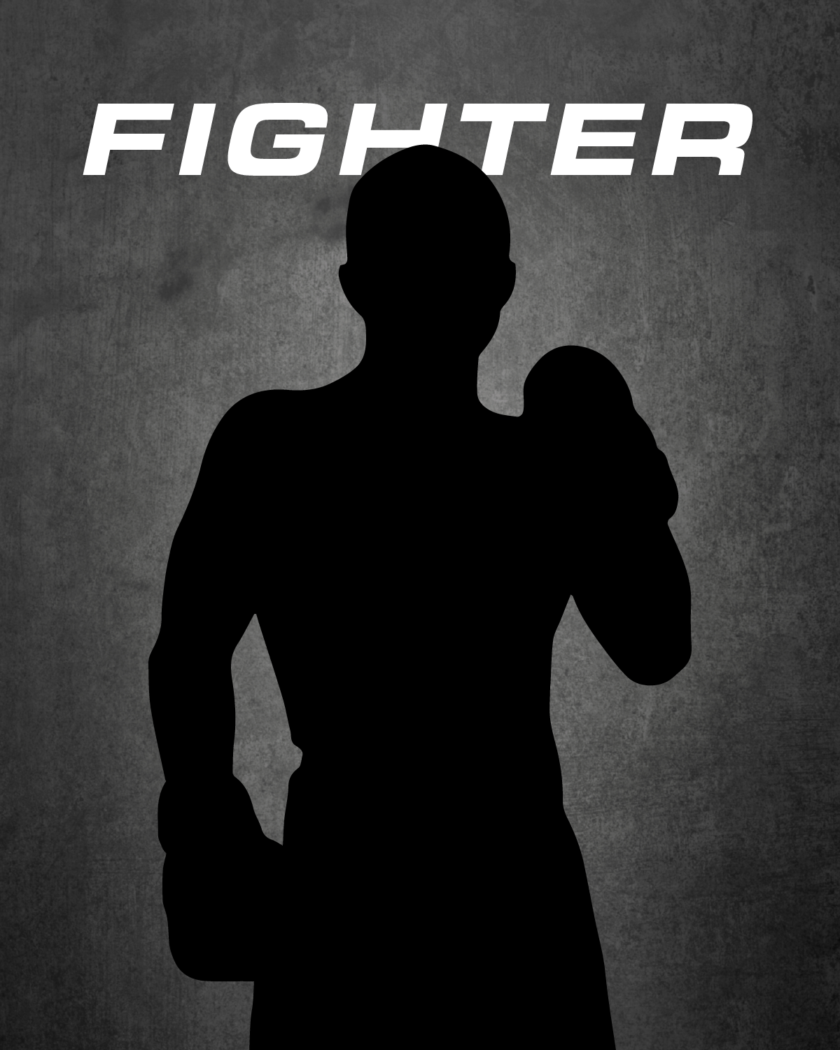 Fighter