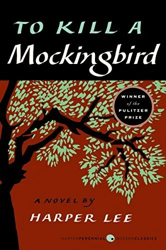 To Kill a Mockingbird book