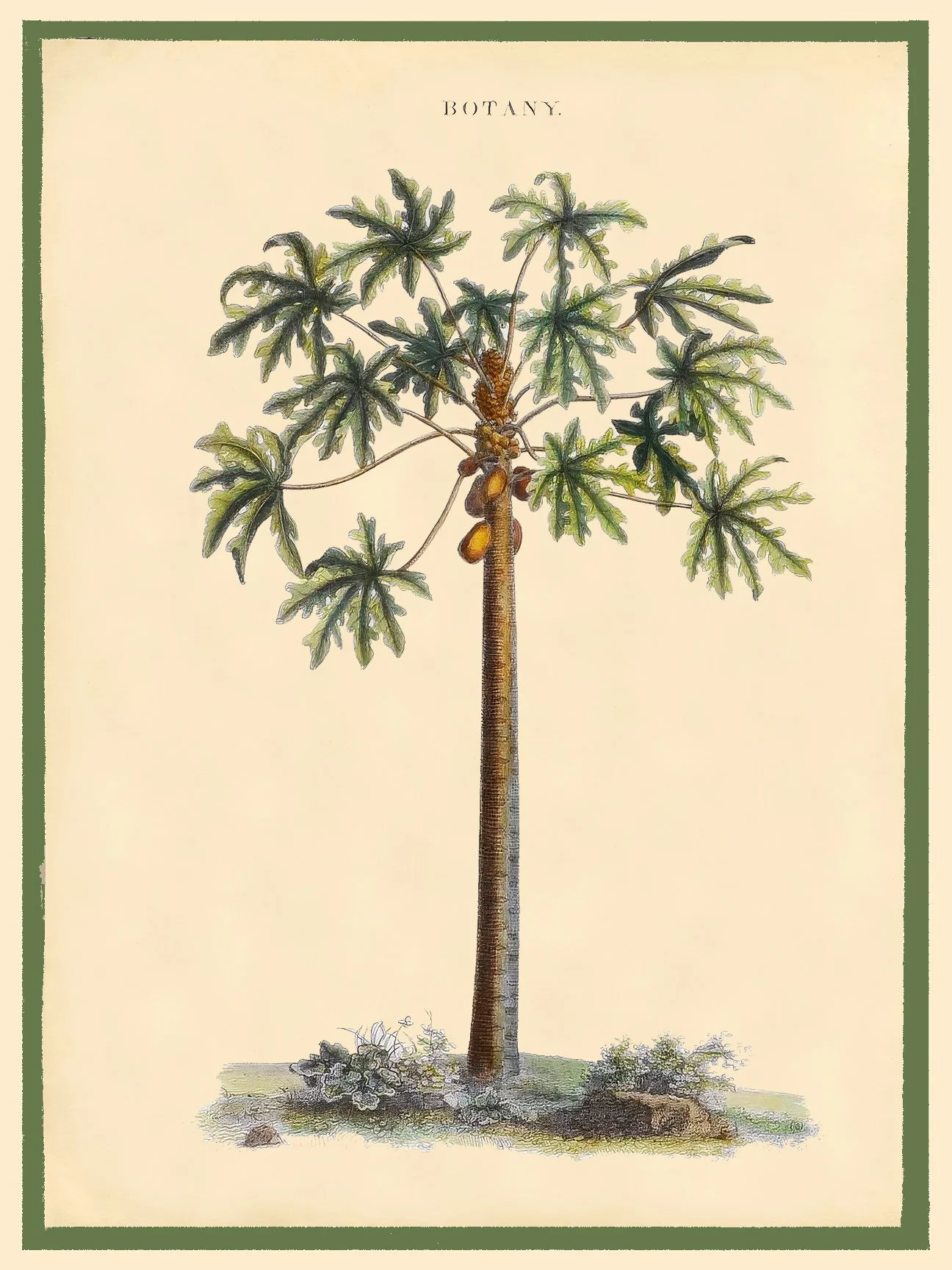 Botany with grn border.jpg