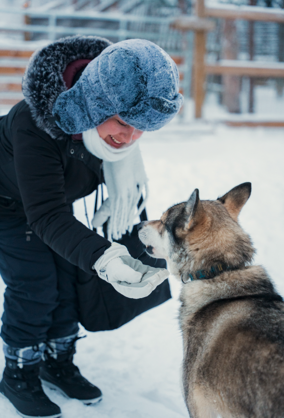 Captura de pantalla 2026-02-05 a las 8.19.04.png