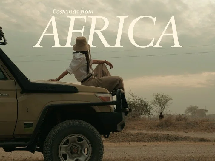 Postcards from Africa ! The safari ❤️