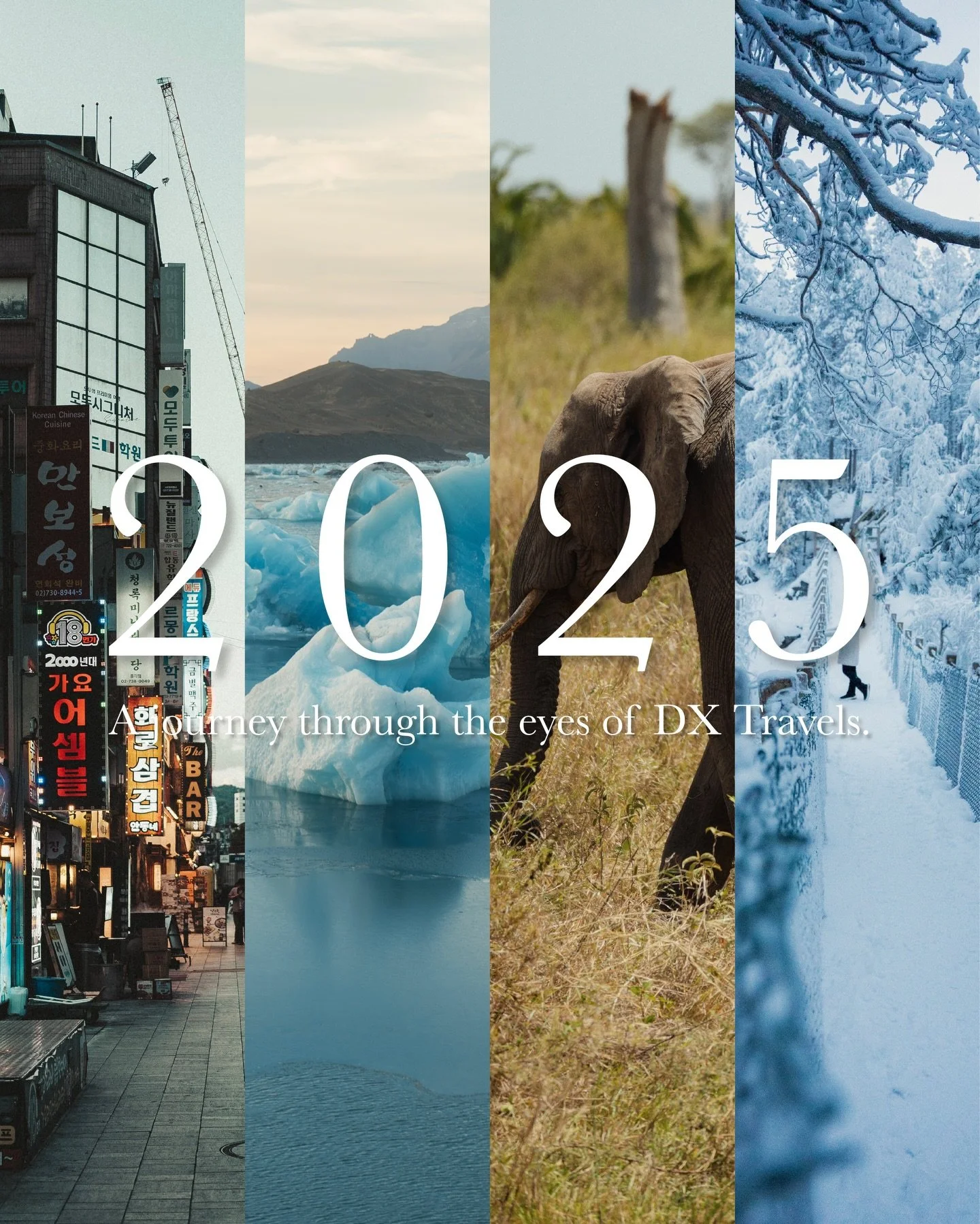 Every frame, every smile, every road taken &mdash;
a memory crafted with purpose,
a moment lived with intensity.

This is how 2025 looked through our lens&hellip;
and we&rsquo;re just getting started.
Thanks for being part of this journey. 🌍❤️

2026