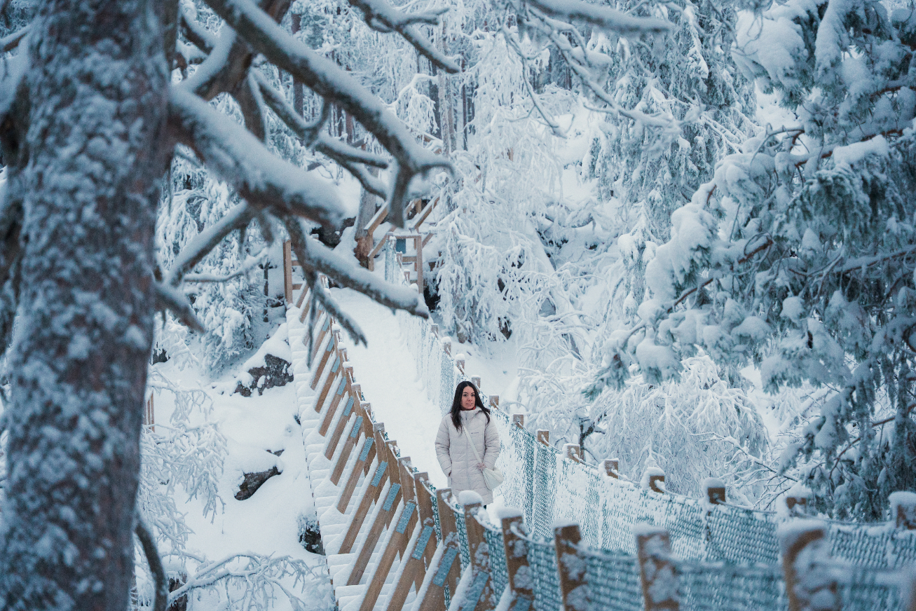 Captura de pantalla 2026-02-03 a las 23.46.01.png