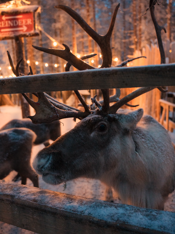 Captura de pantalla 2026-02-03 a las 23.47.45.png