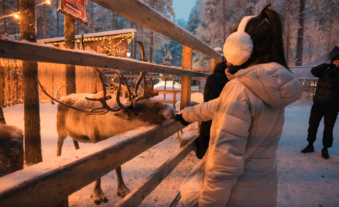 Captura de pantalla 2026-02-03 a las 23.48.04.png