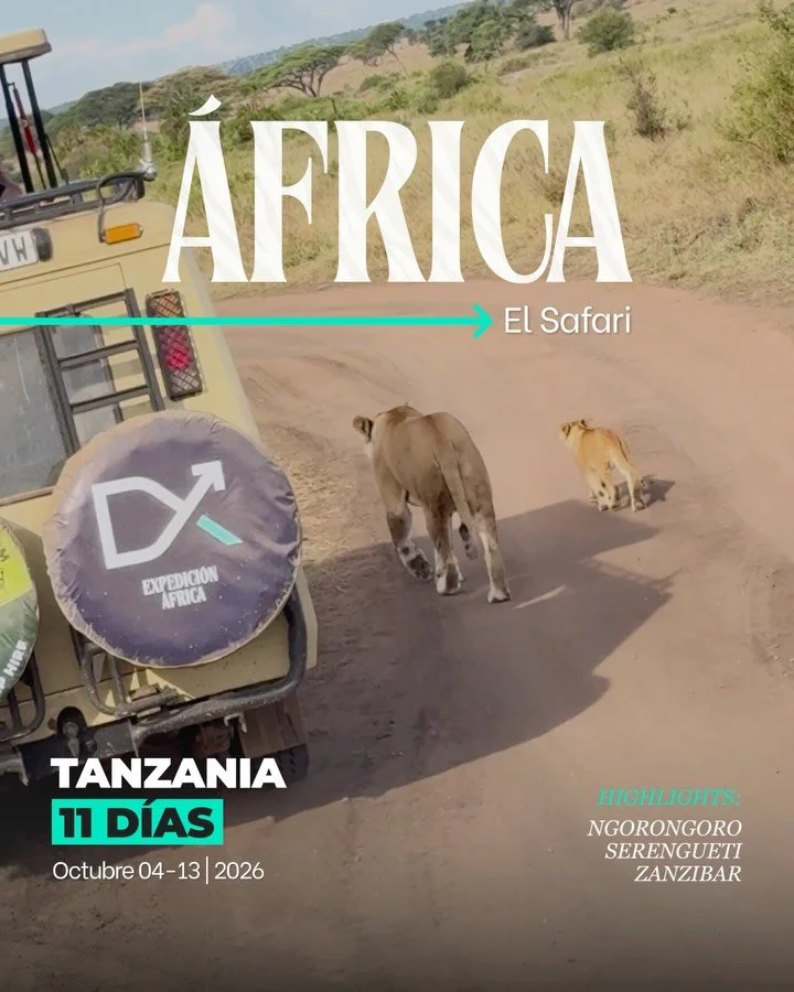 Discover Africa at its most extraordinary.
Tanzania&rsquo;s wildlife, exclusive experiences, and luxury hotels come together in a once-in-a-lifetime expedition.

Limited spots available.

October 04 - 13 | 2026

Book now
✅ +1 (956) 517-9542
www.dxtra