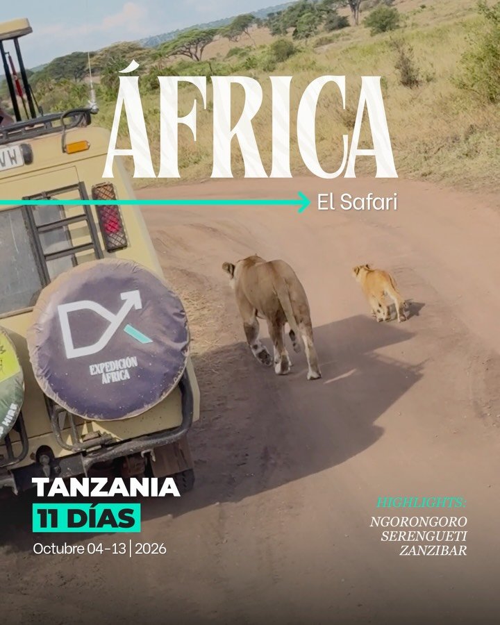 Discover Africa at its most extraordinary.
Tanzania&rsquo;s wildlife, exclusive experiences, and luxury hotels come together in a once-in-a-lifetime expedition.

Limited spots available.

October 04 - 13 | 2026

Book now
✅ +1 (956) 517-9542
www.dxtra