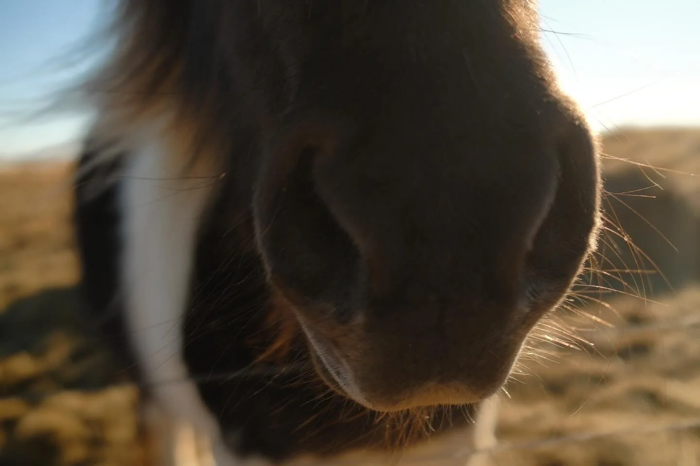 Once upon a time, there was an island shaped by beauty. A place where the purest moments of life are created.
Iceland, March 2026 🇮🇸