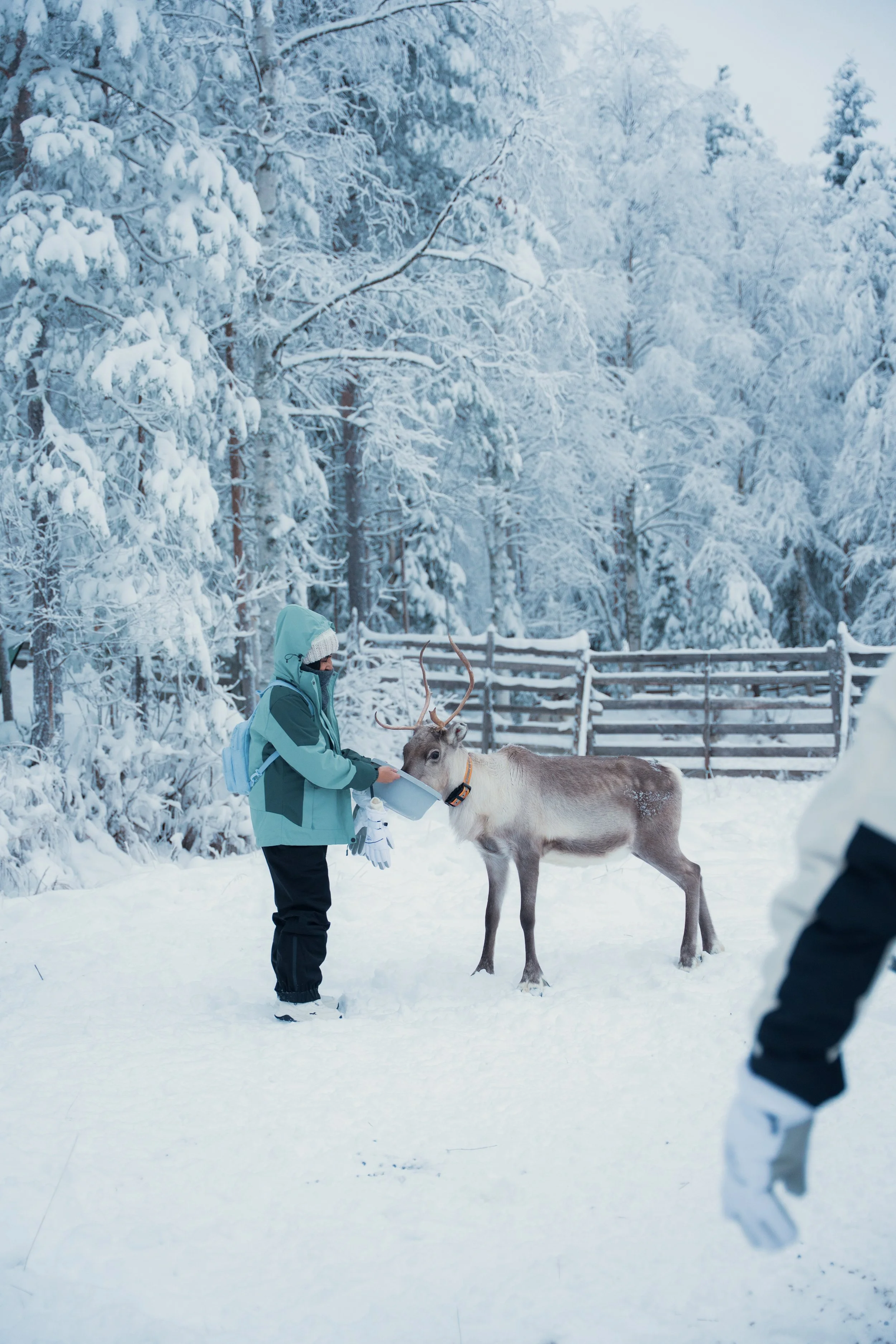 FINLANDIA_DX_0335.jpg