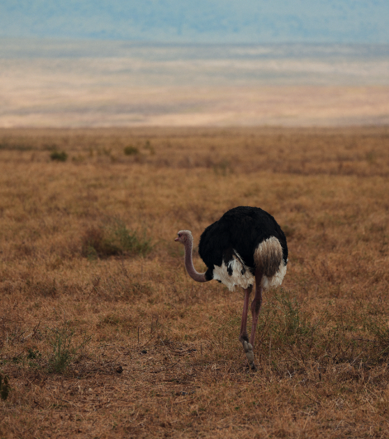 Captura de pantalla 2026-02-05 a las 14.23.34.png