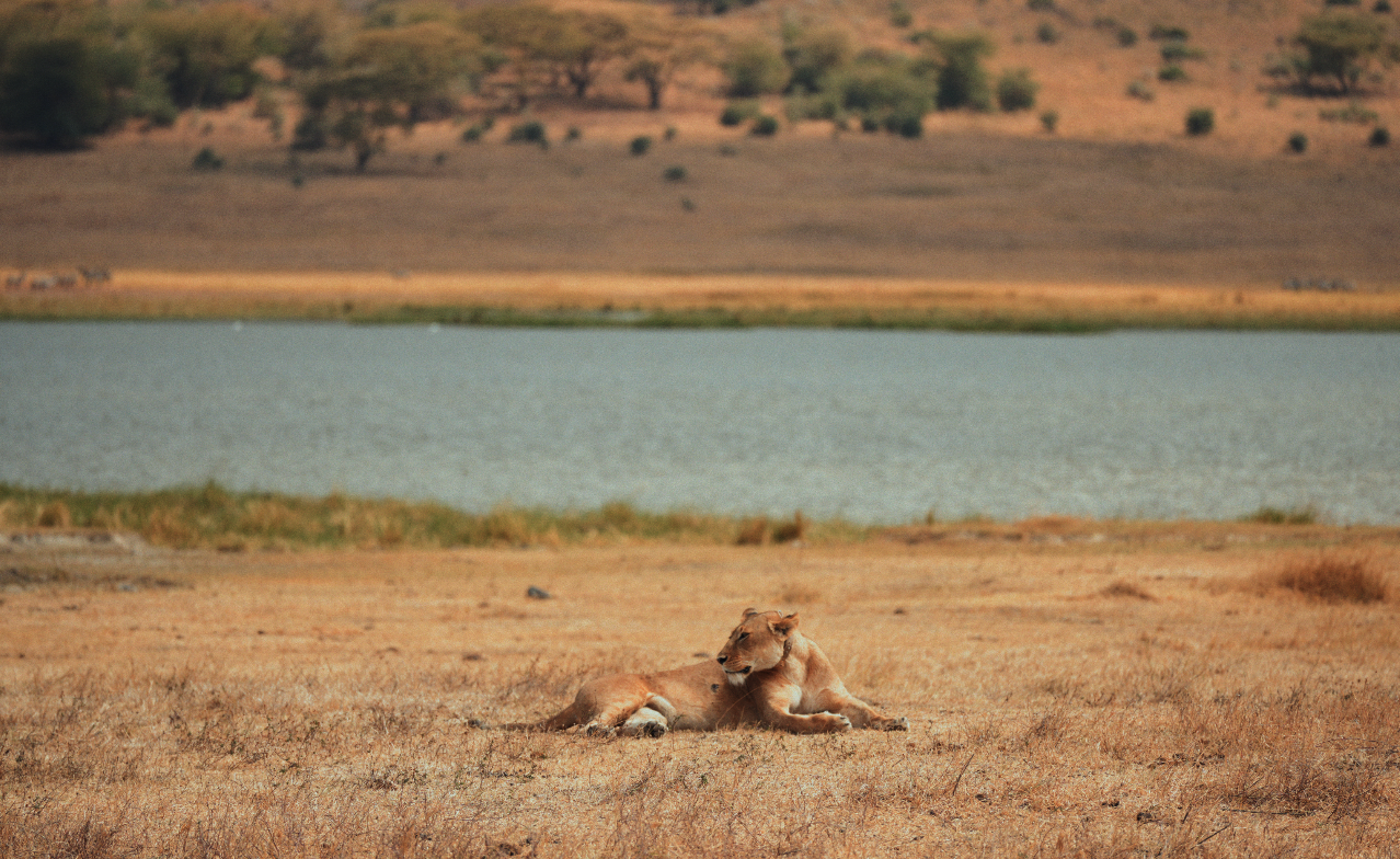 Captura de pantalla 2026-02-05 a las 14.24.33.png