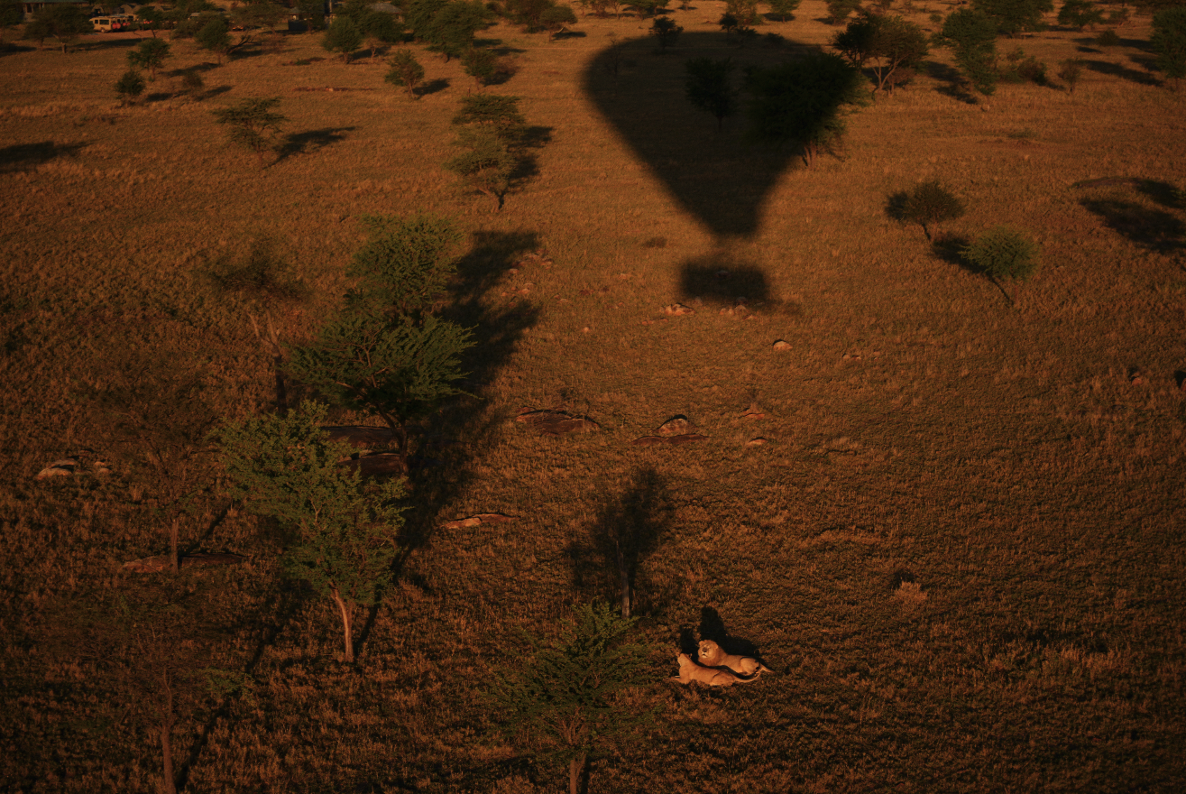 Captura de pantalla 2026-02-05 a las 14.25.34.png