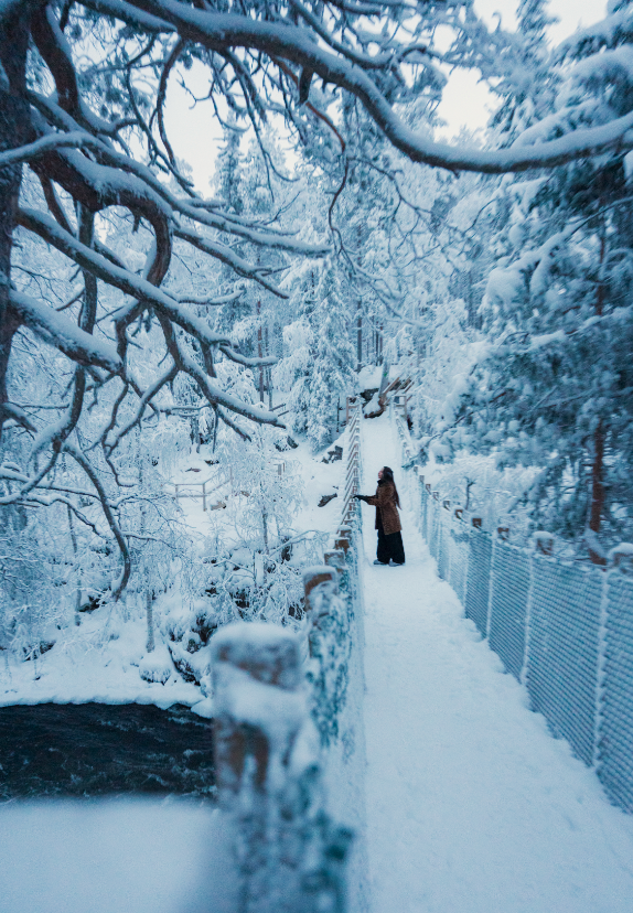 Captura de pantalla 2026-02-05 a las 8.21.26.png