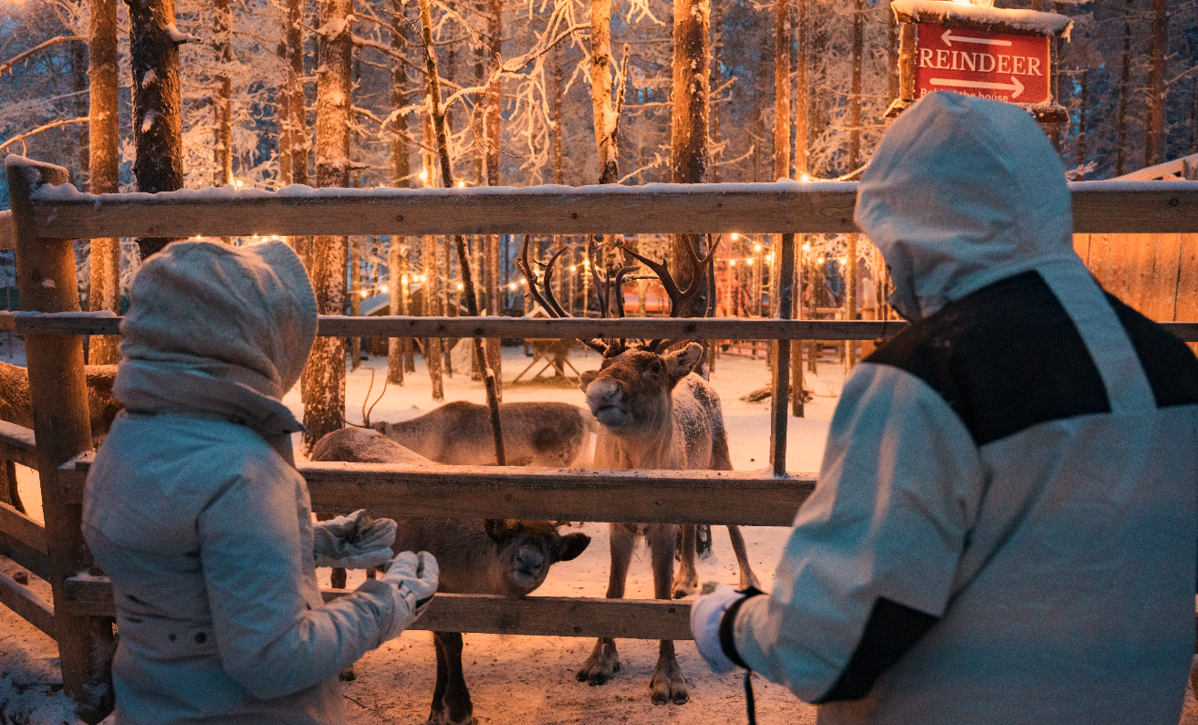 Captura de pantalla 2026-02-05 a las 8.21.59.png