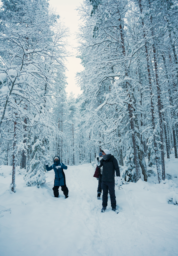 Captura de pantalla 2026-02-05 a las 8.20.07.png