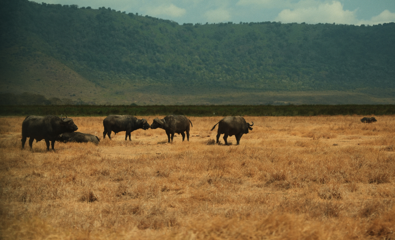 Captura de pantalla 2026-02-05 a las 14.27.36.png