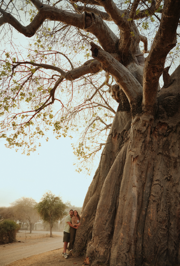 Captura de pantalla 2026-02-05 a las 14.00.11.png