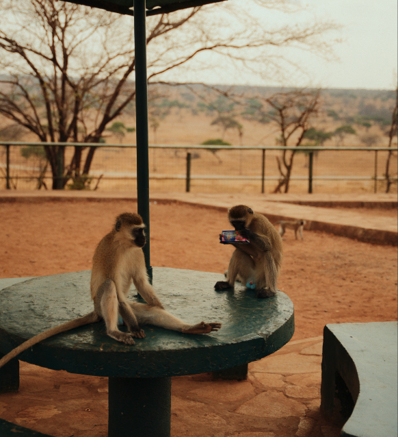 Captura de pantalla 2026-02-05 a las 14.24.05.png