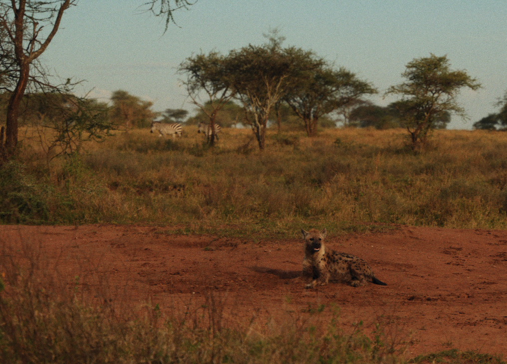 Captura de pantalla 2026-02-05 a las 14.26.41.png
