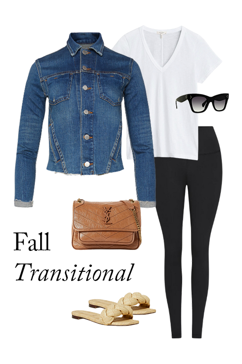 fall_transitional_01.png