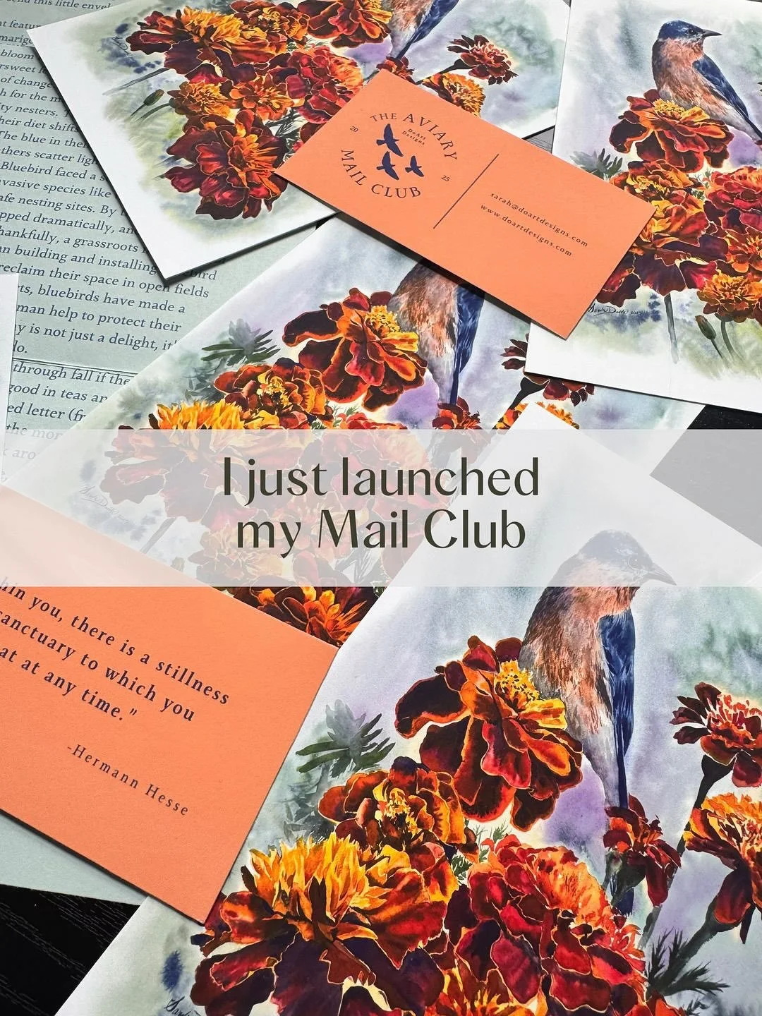 A surprise in your mailbox that&rsquo;s not a bill! Each month features a new bird and flower to fit the season. Link in bio:) #watercolor #painting #mailclub #snailmail #printclub #smallbusiness #artist #watercolor