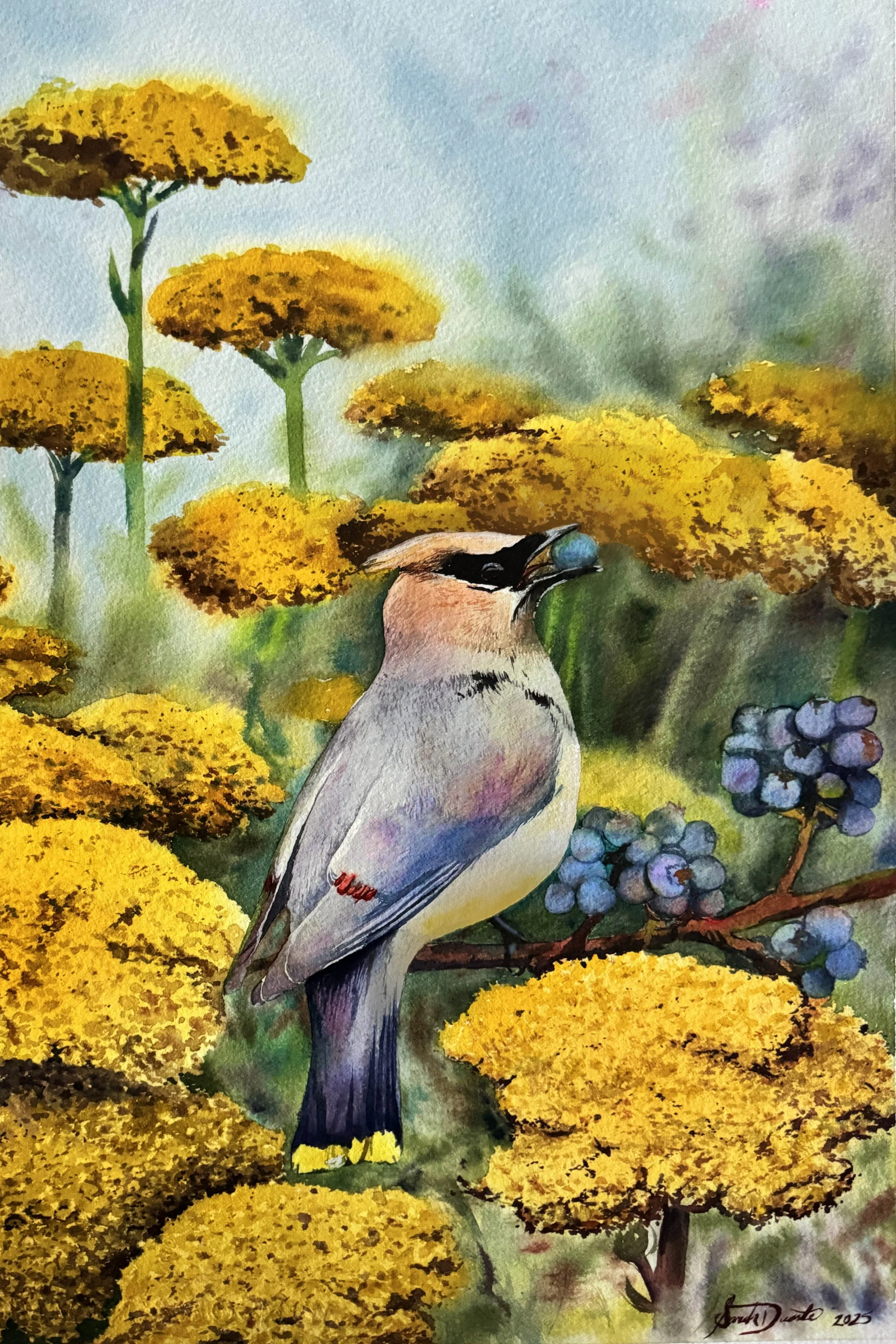 November 2025 Mail Club Print