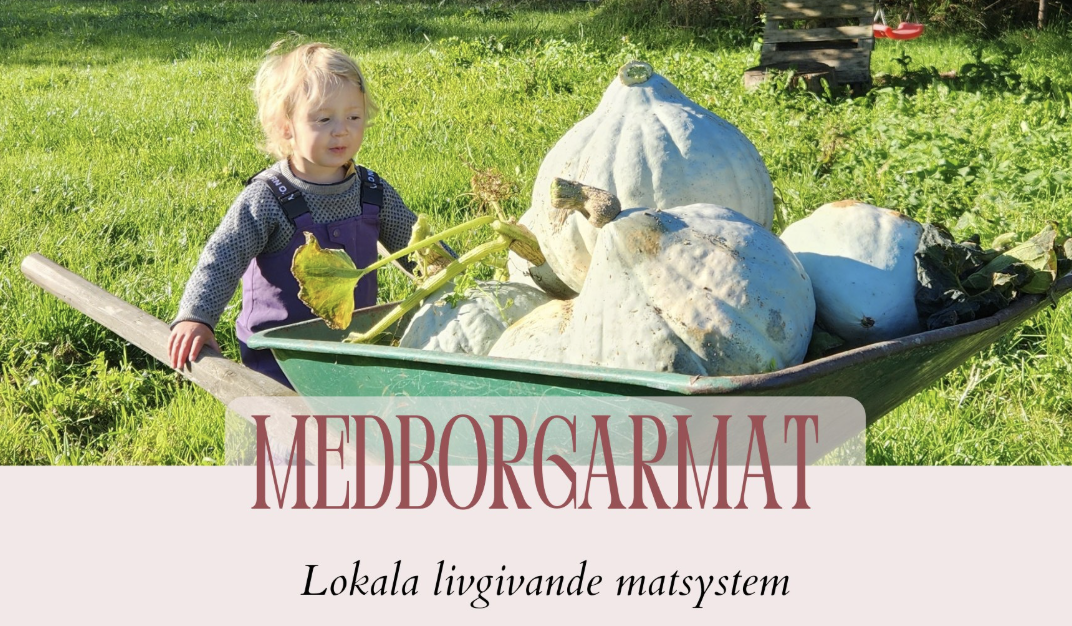 Medborgarmat – webbinarium om lokala livgivande matsystem