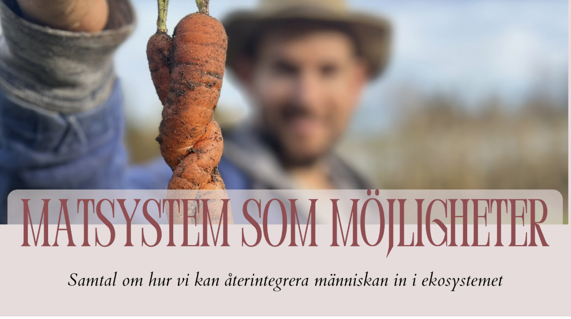Matsystem som möjligheter– webbinarium