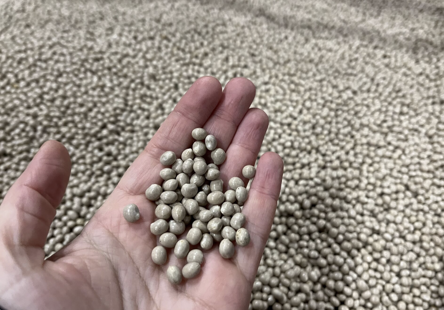 Samtalsgrupp – Samodling baljväxter och spannmål