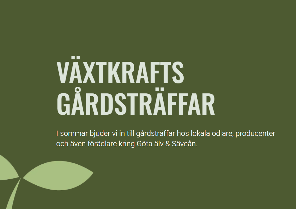 Växtkraft: Gårdsträff Östängs gård - Ogrässtrategier &amp; minimerad jordarbetning