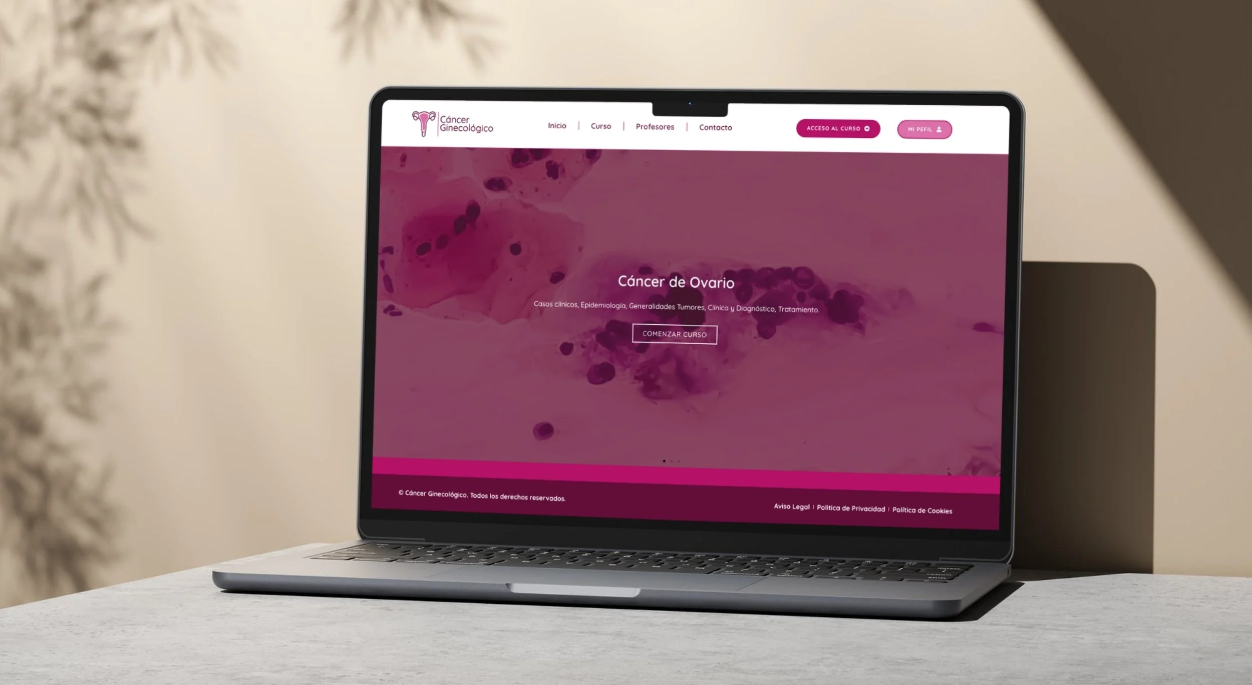 DIGIES - Diseño Web Cáncer Ginecológico (2).jpg