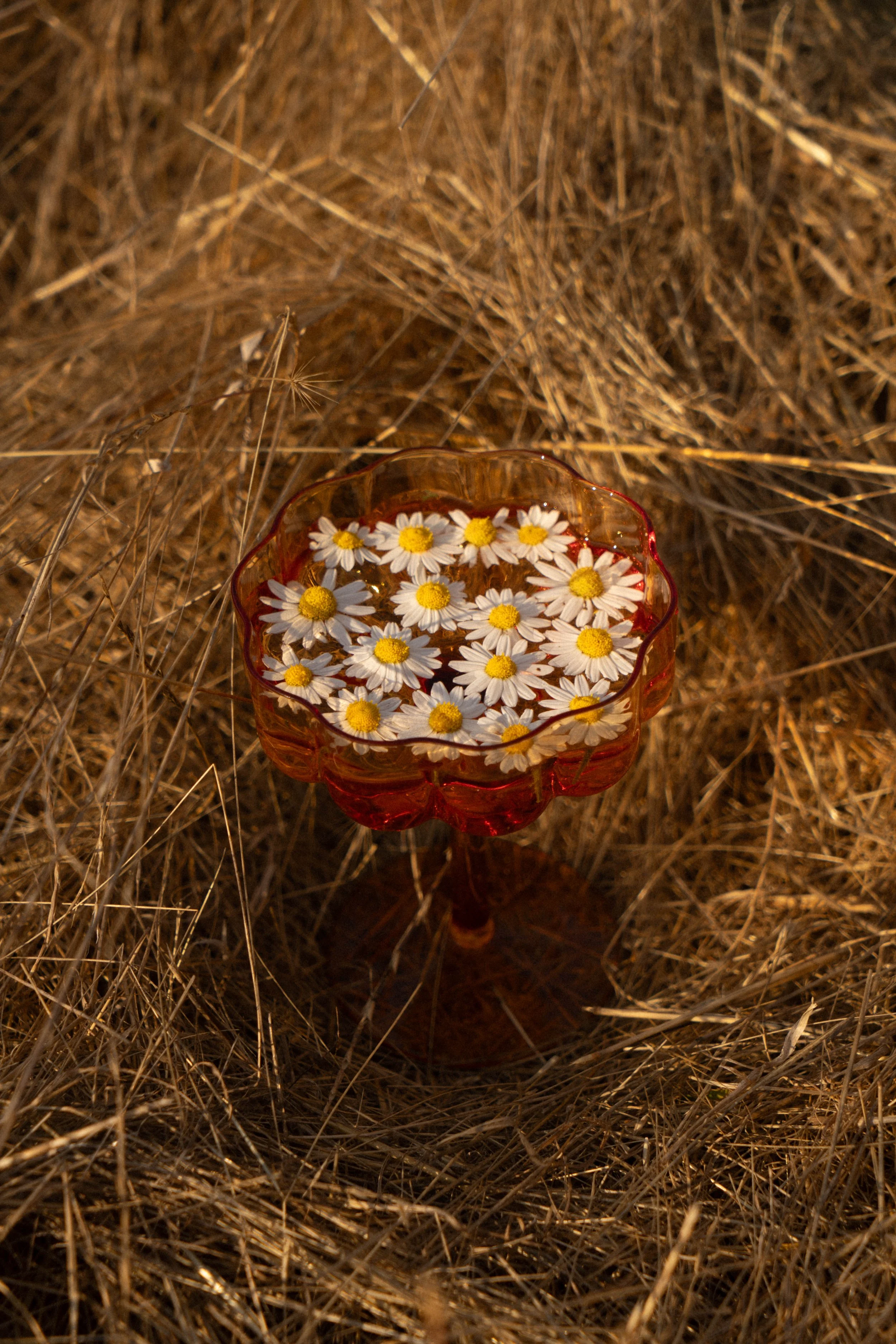 flower glass again.jpg
