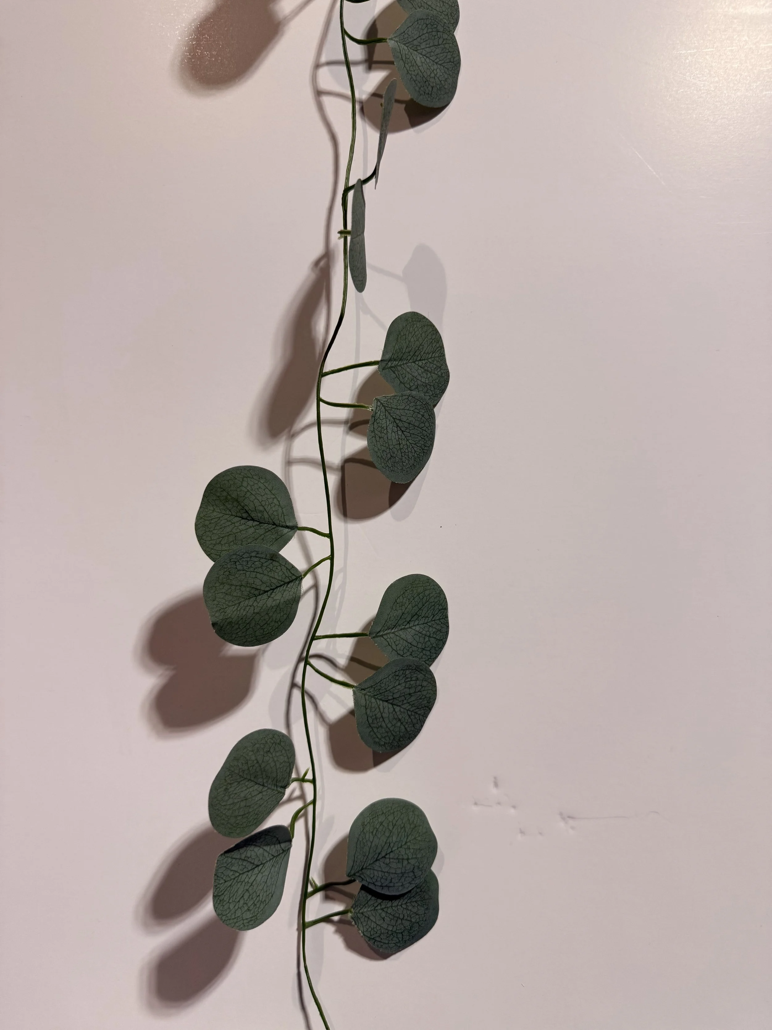4. Thin Eucalyptus vine garland (25)