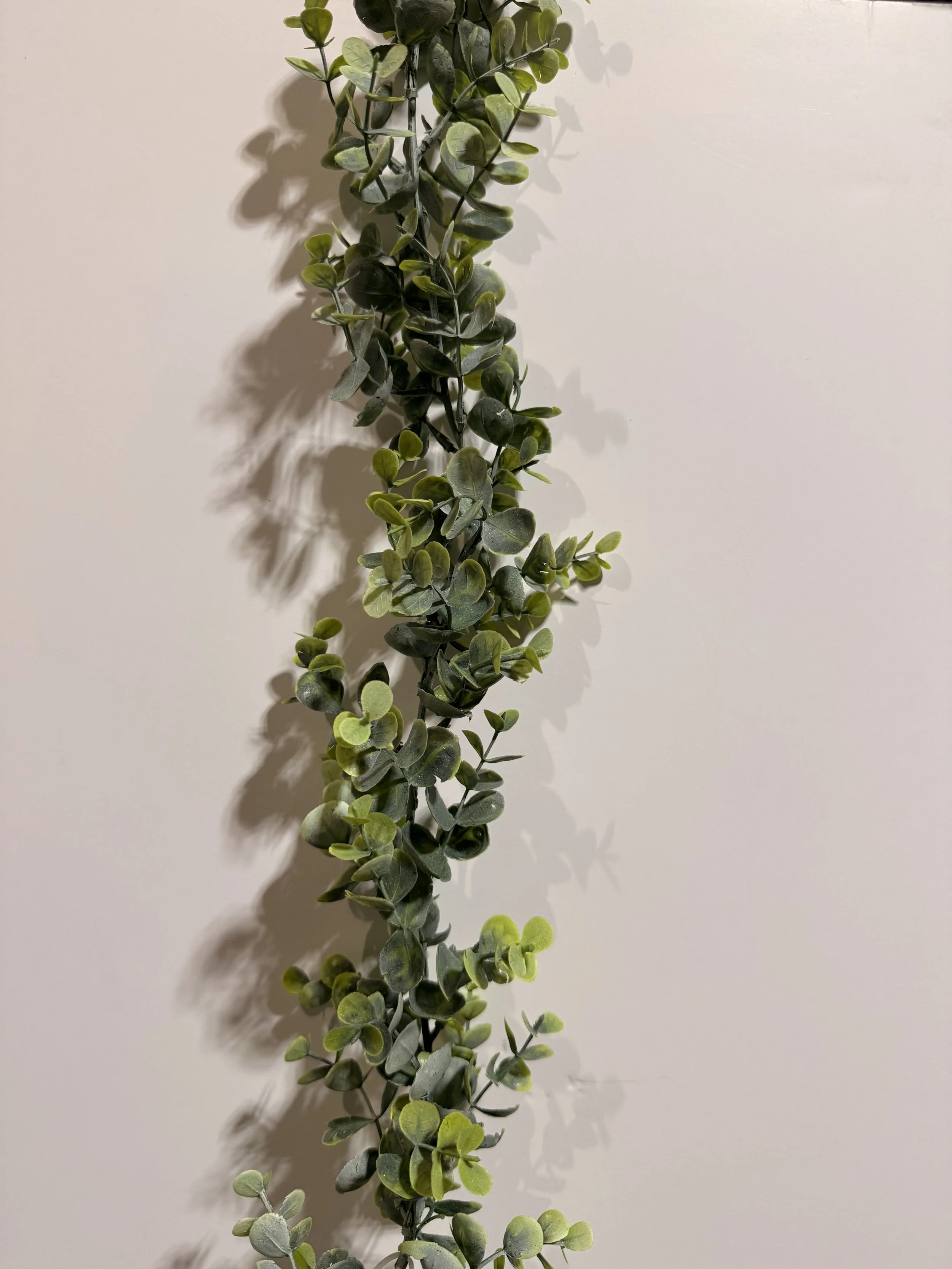 1. Thick Frosted Eucalyptus (4 available)