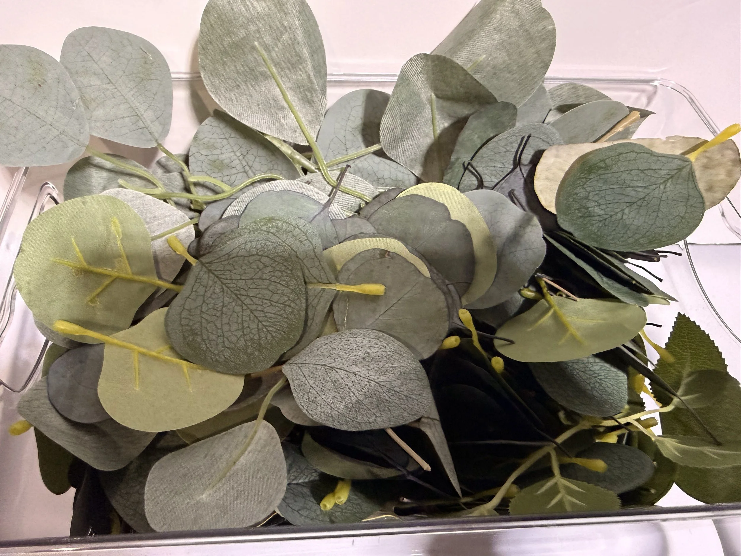 35. Loose Eucalyptus Leaves